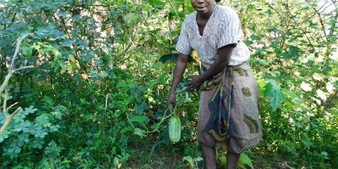 Des paysans bénéficient d’équipements agricoles