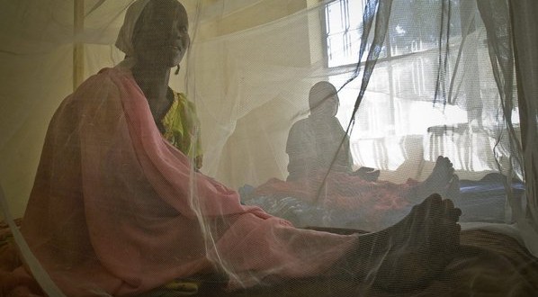 Paludisme : Une baisse du taux de prévalence sur les régions centrales